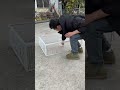 Bird Pakadne Ki Trick! 😱 Impossible Catch Caught on Camera 🐦🔥#BirdCatch #BirdTrap #BirdRescue