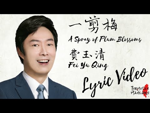 一剪梅 A Spray of Plum Blossoms - 费玉清 Fei Yu Qing ( Chinese / Pinyin / English Lyrics 歌詞 )
