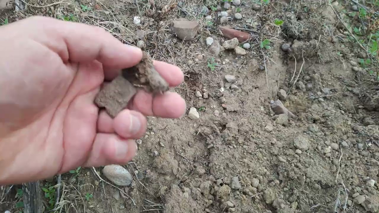 Anzac cove  howitzer gully