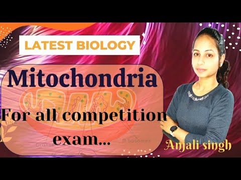 Most important topic Mitochondria (Power House of the cell ) by Anjali Singh