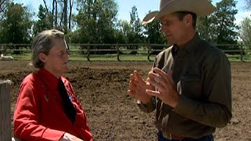 Cattle Handling - Education (BQA)