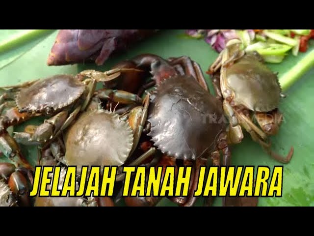 JELAJAH TANAH JAWARA | JEJAK PETUALANG (09/11/21) class=