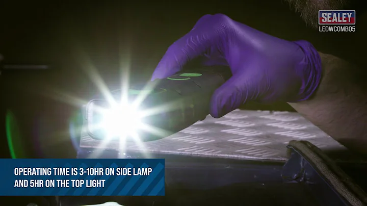 5W Inspection Light (x2) & Double Wireless Charging Base - LEDWCOMBO5