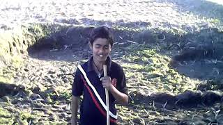 SARPUL