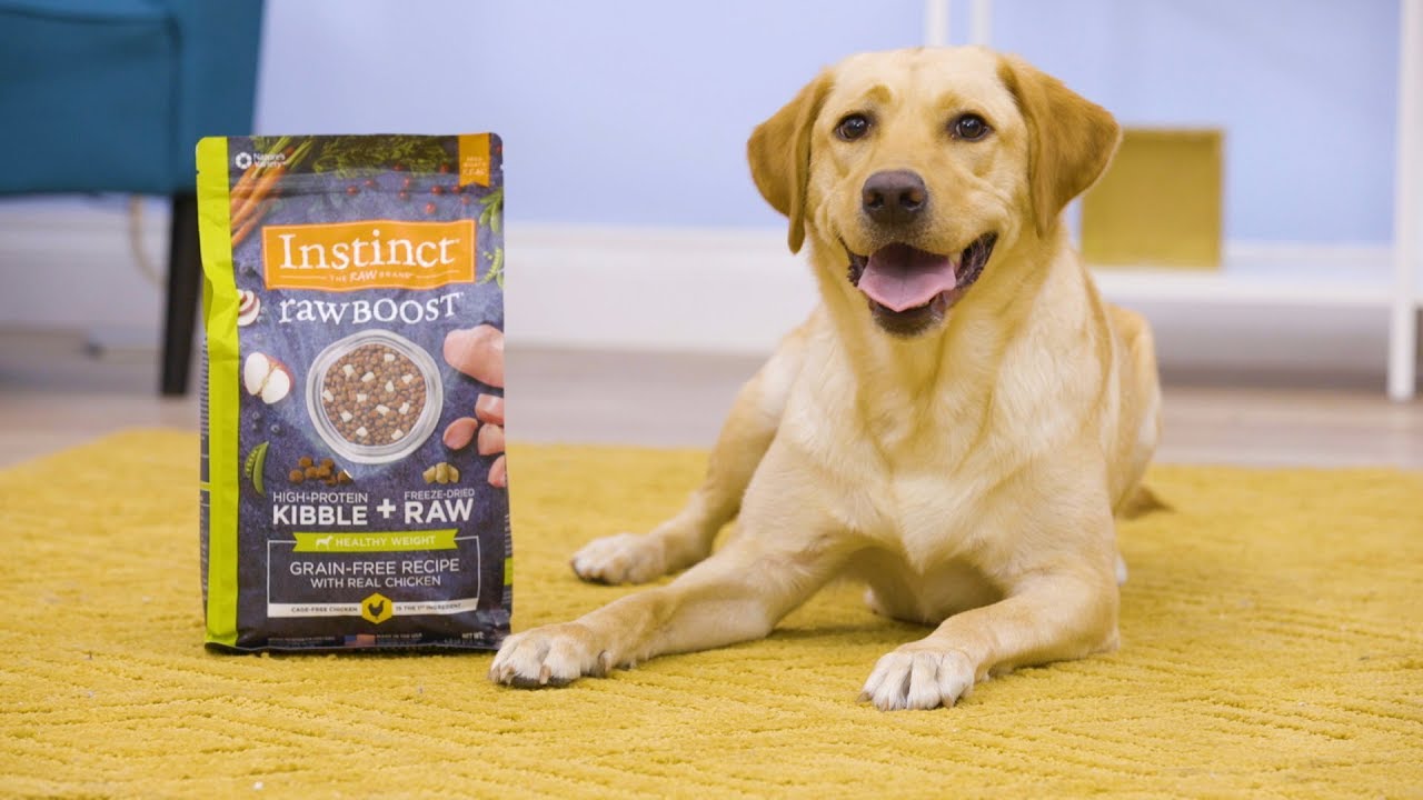 what company makes instinct dog food