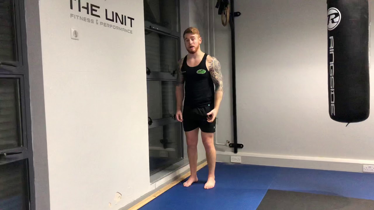 Shoulder Flexion Pails/Rails. YouTube