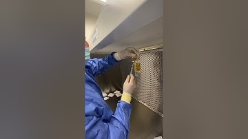 Timothy Abraham media fill test