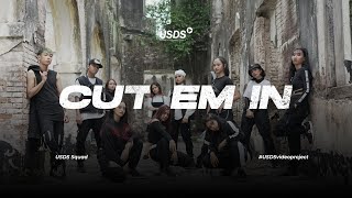 Anderson .Paak feat. Rick Ross - Cut Em In | #USDSVideoProject