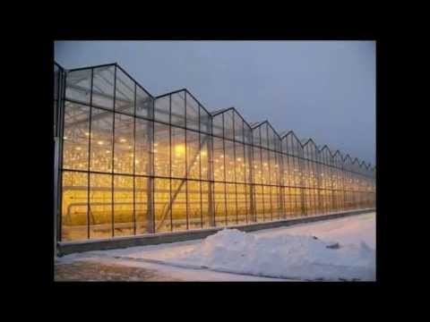 სათბურების მშენებლობა \"ნატურალ იმპორტი\"