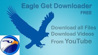 how to easily download EagleGet in (2 minutes) screenshot 5