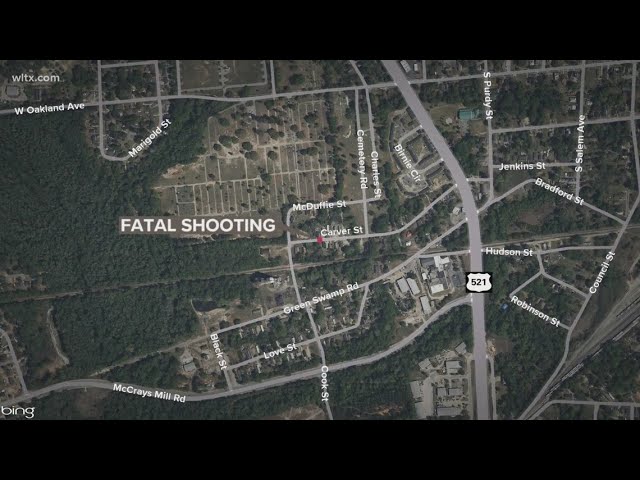 Police investigating fatal Sumter shooting class=
