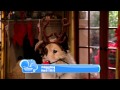 Episode spcial nol de doggyblog  mardi 3 dcembre  19h15 sur disney channel 