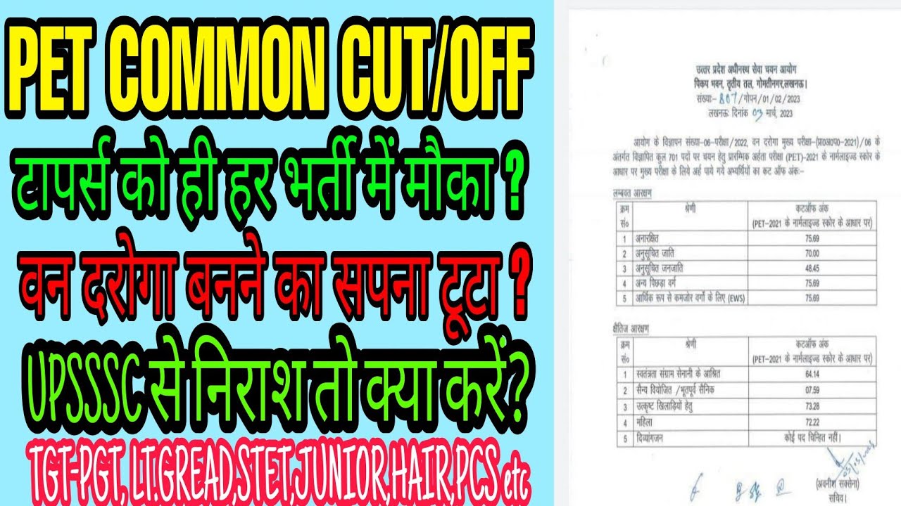 Pet Cut Near Me Pet Cut Near Me