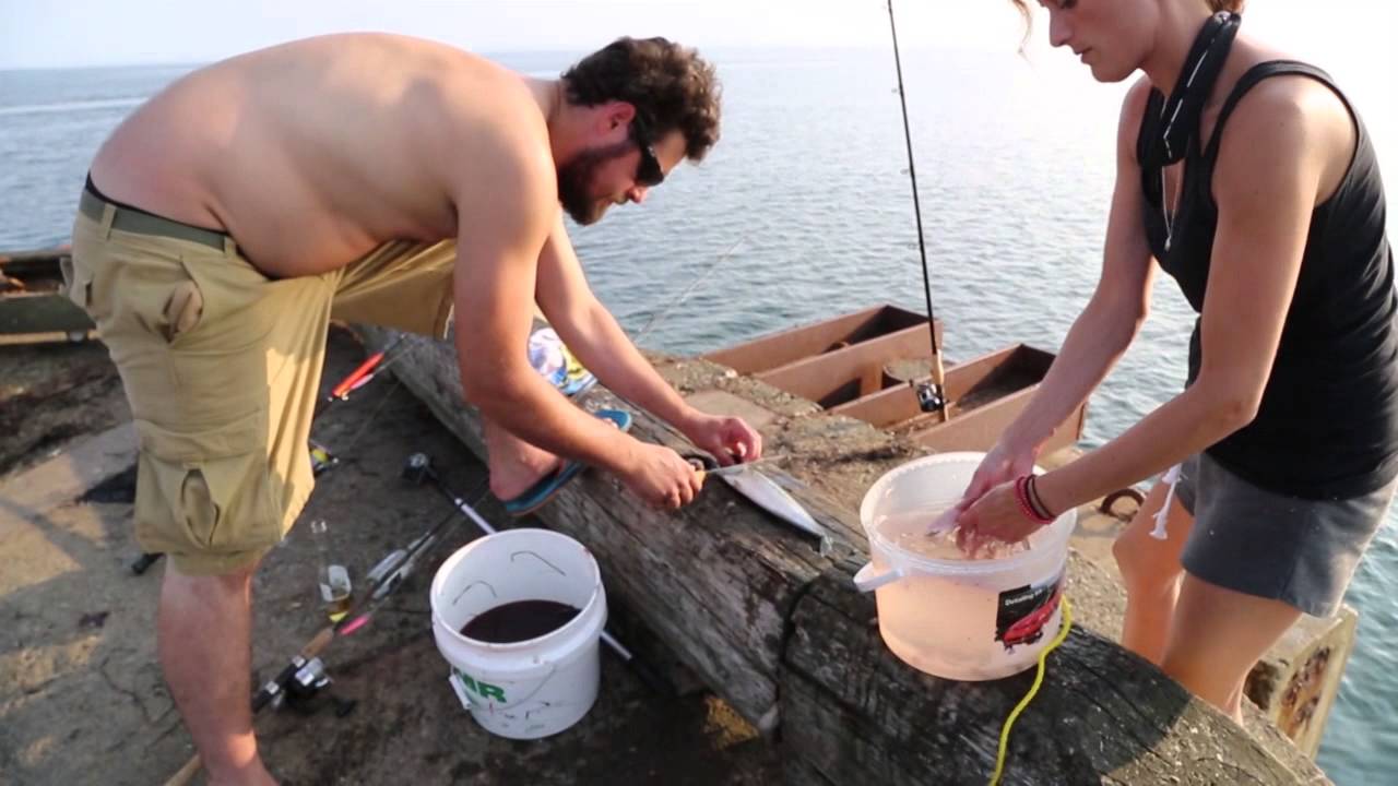 Pêchomaniak Pêche en Gaspésie