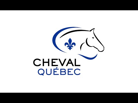 Une Carrière Dans L’Industrie Du Cheval