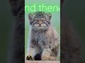 You missed it… watch again |#shortvideo