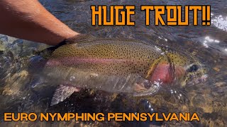 AKU TAK PERCAYA AKU MENDARATKAN IKAN TROUT INI!! Memancing Ikan Fly di Pennsylvania