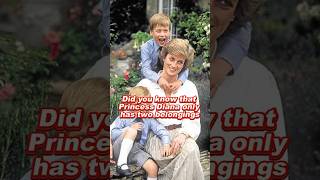 Did You Know That Princess Diana Only Has Two Belongings