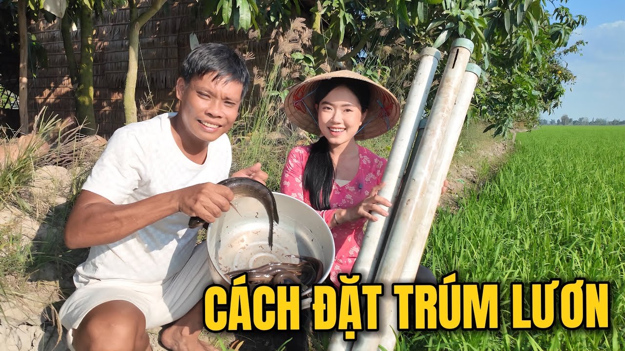 Lươn đồng lóc nhóc ngoài đồng, tình quê gói trọn trong lòng người ơi! Đặt trúm lươn đồng