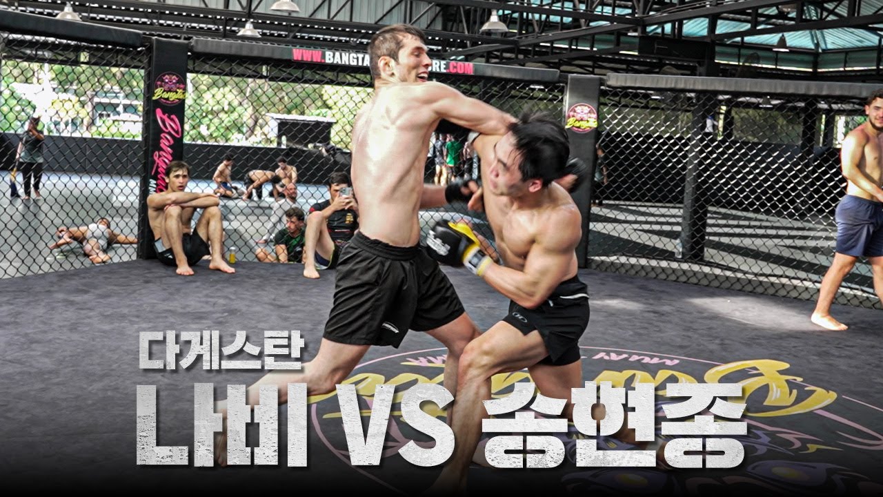 🇹🇭김동현 복수혈전 나비 VS 송현종! UFC 유망주들의 100% 스파링ㅣEP.3 태국 전지훈련 3차전
