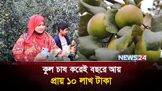 প্রবাস থেকে ফিরে বন্ধুর জমিতে কুল চাষ করে সফল আব্দুল কাদির | News24 Special