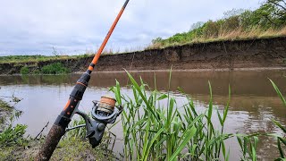 Catfishing a TINY STREAM!! (Bank Fishing)