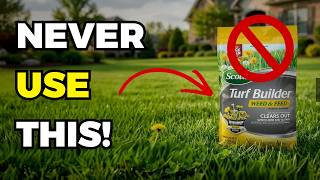 You Should NEVER Use Weed and Feed (Do THIS Instead!)