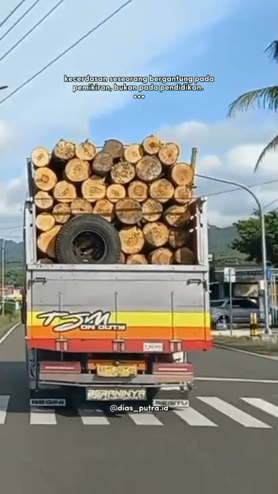 story wa truk kayu #shorts #story #quotes #truk