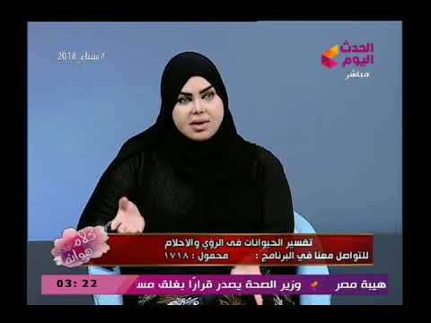 مفسرة الاحلام د صوفيا زادة تفسر رؤية القط والكلب الأسود فى المنام وتحذر من رؤيا الكلب الصغير
