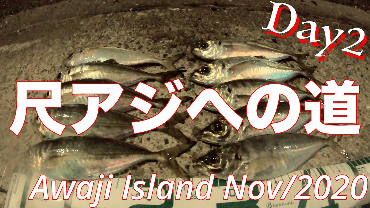 淡路島 アジ 淡路島 アジング 常夜灯