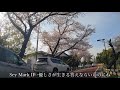 風のノー・リプライ 鮎川麻弥 【ココロ】#15