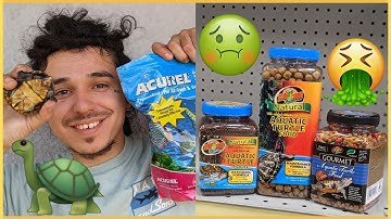 Turtle Care Tips: Preventing Aquarium Odors!