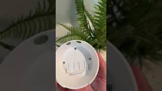 Thymes Frasier Fir Pura Smart Home Plug in Diffuser Kit Review