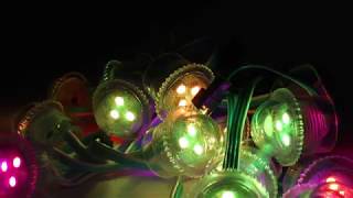 Burbuja Transparente 3 Leds WS2811 12V