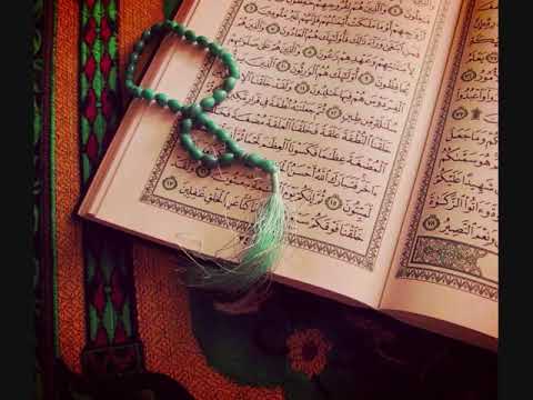 تلاوة سورة غافر بصوت القارئ وديع اليمني