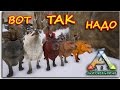 Ark Survival Evolved - ВЕСЬ ТРАЙБ НА ВОЛКАХ - ЗИМНЯЯ ПЕЩЕРА