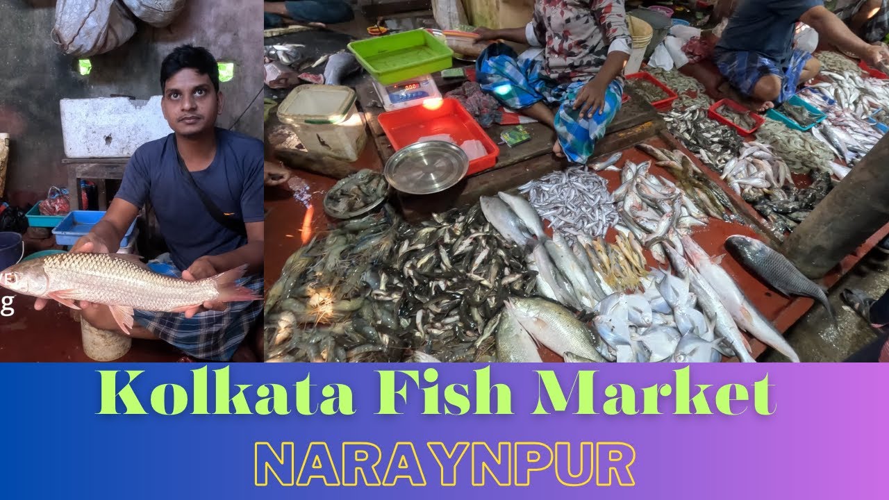 Kolkata Fish Market \\ Narayanpur Kolkata YouTube