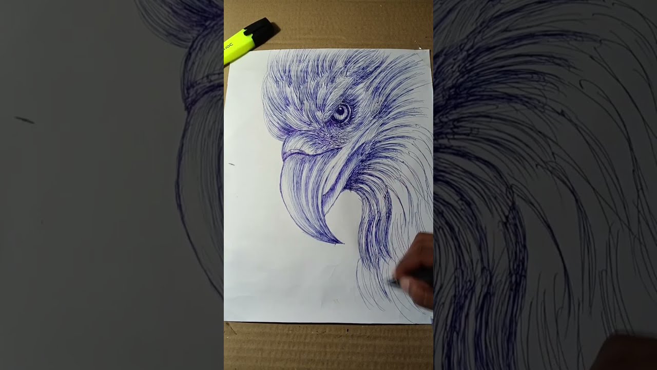 How to draw Eagle ka drawing 🖊️wala video pen Se sketch Eagle ka