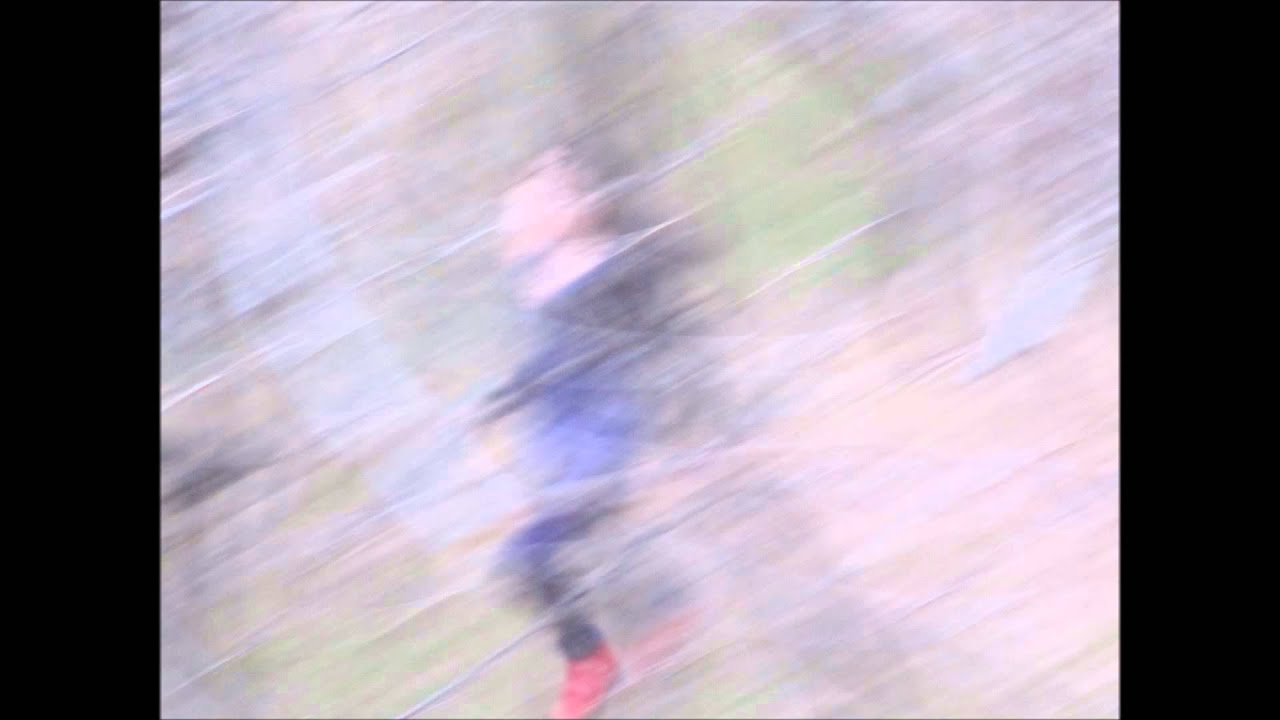 Idyllion - Draw A Line