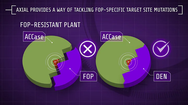 Explaining Herbicide Resistance: Herbicide modes of action