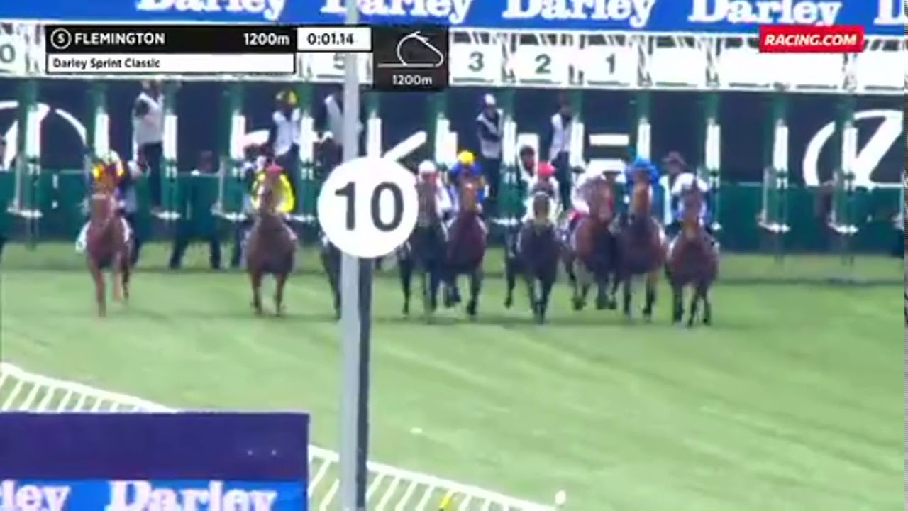 Nature Strip | Flemington