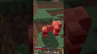 Cold In The After Life