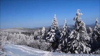 🌨️Natural ☃️Snowfall 🌨️ with relaxing piano music copyright free stock videos mp4 video screenshot 5