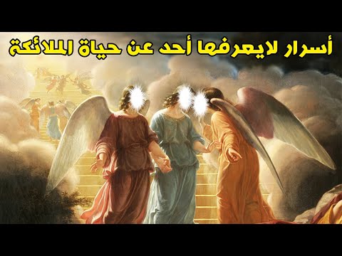 فيديو: هل تعيش الملائكة؟