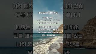 베드로전서 5장 8, 9절 | 오늘 하나님이 주시는 축복의 말씀 | 1분 말씀묵상 | 말씀 암송 | 듣는 성경| 말씀QT #샤이닝피플 #BIBLE #SHORTS