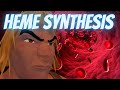 Heme Synthesis (Mnemonic for the USMLE)