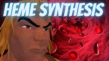 Heme Synthesis (Mnemonic for the USMLE)