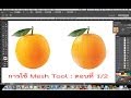 การใช้ Mesh Tool ตอนที่ 1/2 : ส้ม (Adobe Illustrator workshop 4 (Mesh Tool) : Orange 1/2)
