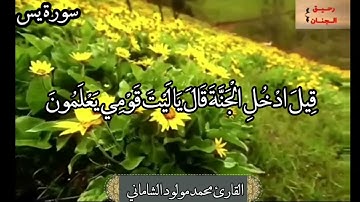 القارئ محمد مولود الشاماني لاتنسونا من صالح دعواتكم