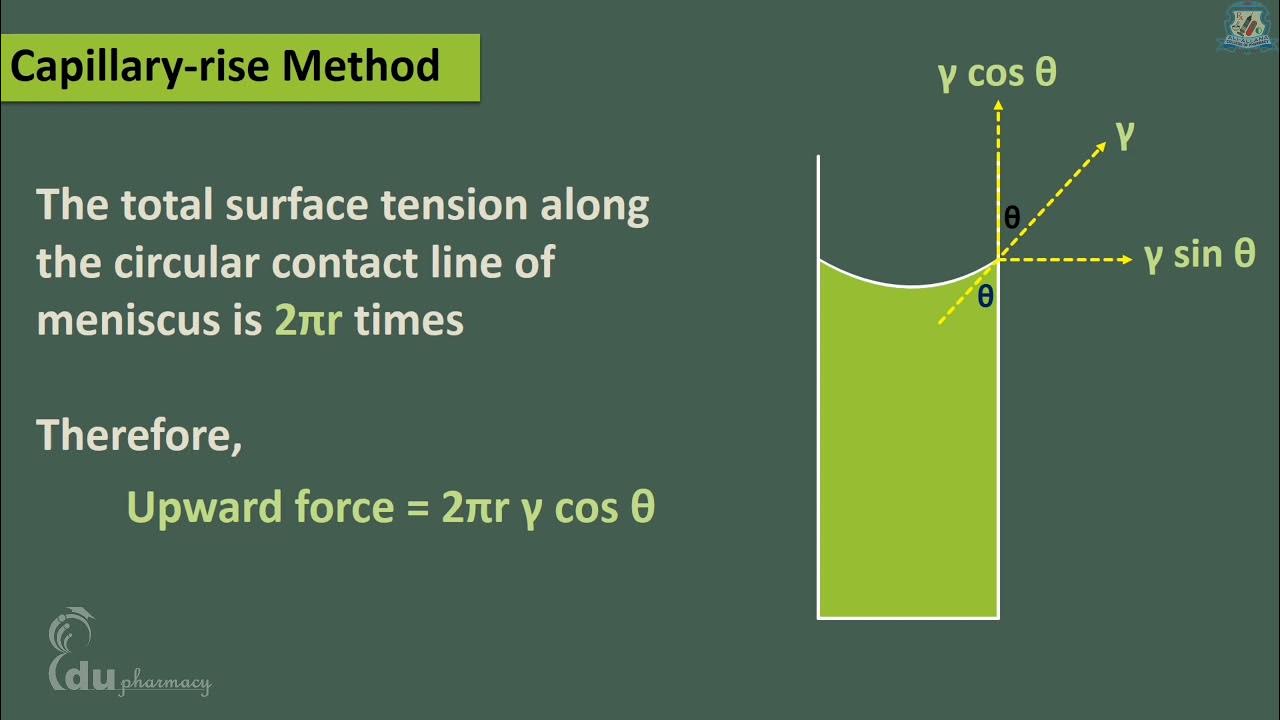 Capillary rise method for surface tension determination Surface